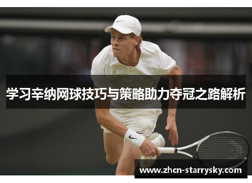 学习辛纳网球技巧与策略助力夺冠之路解析