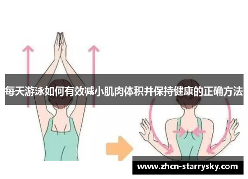 每天游泳如何有效减小肌肉体积并保持健康的正确方法