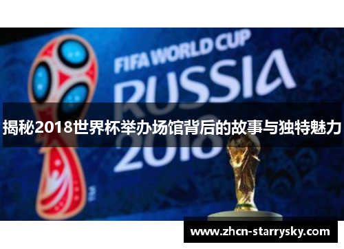 揭秘2018世界杯举办场馆背后的故事与独特魅力