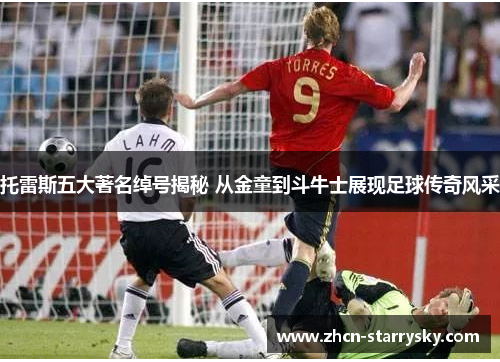 托雷斯五大著名绰号揭秘 从金童到斗牛士展现足球传奇风采